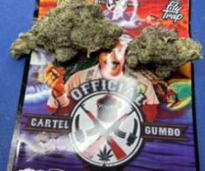 Official Cartel Gumbo Weed