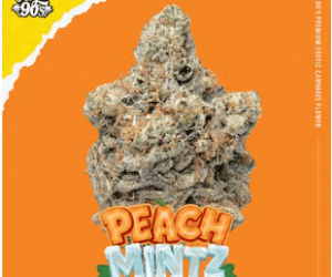 Peach Mintz High 90s