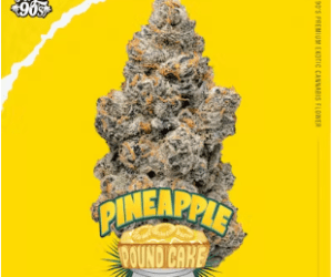 Pineapple Pound Cake High 90s