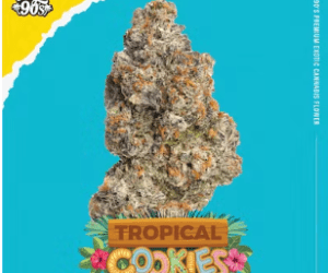 Tropical Cookies High 90s