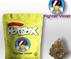 Fighter Violet Hotbox weed