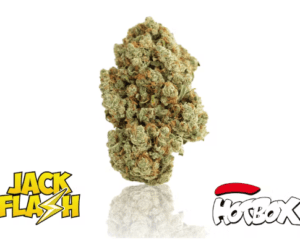 Jack Flash Hotbox weed