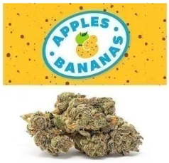 Apples & Bananas Cookies weed. Stress is a part of life. is a balanced sativa-indica hybrid strain from the Cookies Fam. The top reported aromas are