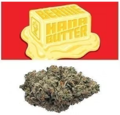 Bernie Hana Butter Cookies weed. Stress is a part of life. is a balanced sativa-indica hybrid strain from the Cookies Fam. The top reported aromas are