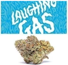 Laughing Gas Cookies weed