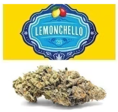 Lemonchello #28 Cookies weed. Seed Junky Genetics created Lemonchello #28 as a combination of Cookies’ Gelato 41 and a Sherbet backcross. The top