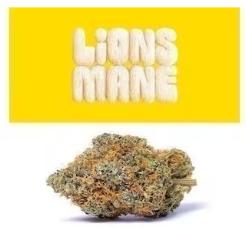 Lions Mane Cookies weed