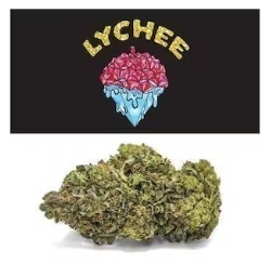 Lychee Cookies weed. Seed Junky Genetics created Lychee as a combination of Cookies’ Gelato 41 and a Sherbet backcross. The top reported aromas of the