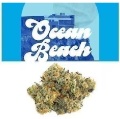 Ocean Beach Cookies weed