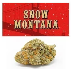Snow Montana Cookies weed