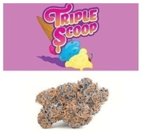 Triple Scoop Cookies weed