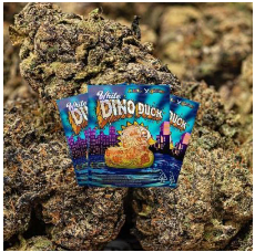Buy Dino Duck (indica) | Rappers 1st Choice Weed | 28g CannabisRappers weed Dino Duck
