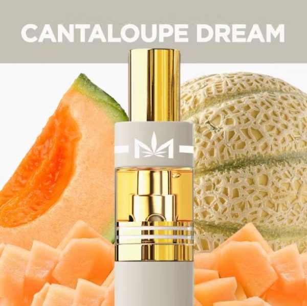 Cantaloupe Dream Dime Disposable